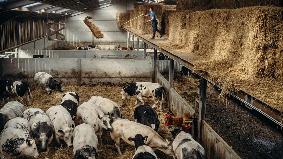 VLAM en persfotograaf Jimmy Kets publiceren fotoboek over vlees van bij ons