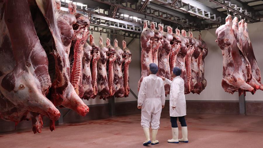 Optimale reinigingsstrategie voor slachthuizen